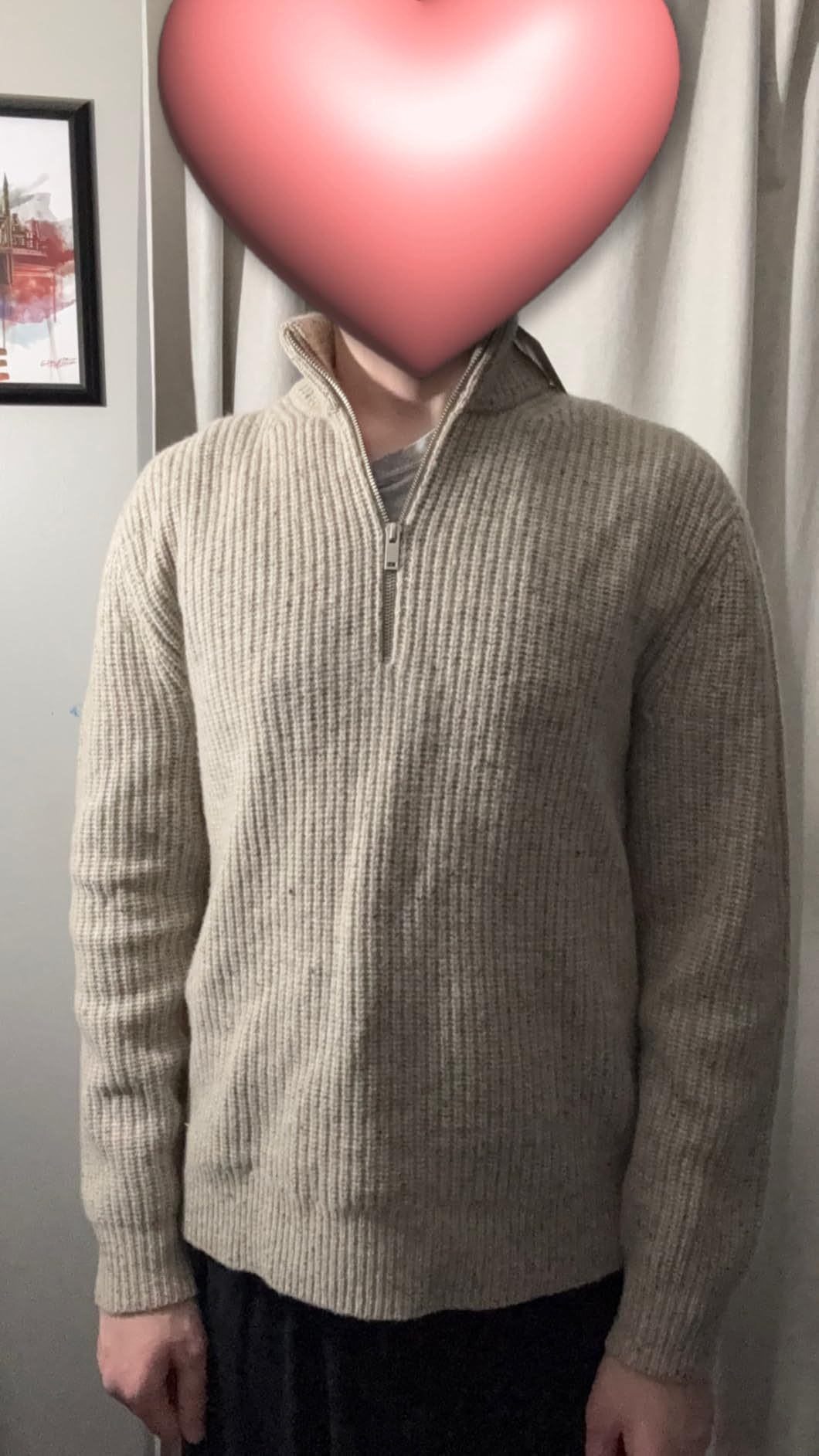 Everlane Men's Everlane The Felted Merino Half-Zip Sweater customer photo 1