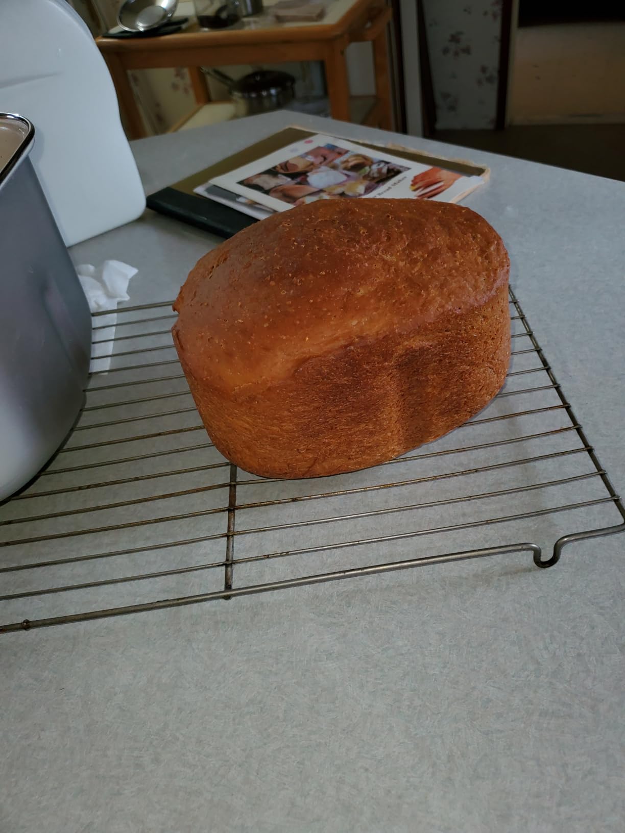 KBS 20-IN-1 Bread Maker with Custom Program, 650W Bread Machine with Nonstick Ceramic Pan & Stainless Steel Paddle, 2LB Bread Maker Machine, Polish Bread, Gluten-Free, Touch Panel, 15H Timer, 3 Colors customer photo 1