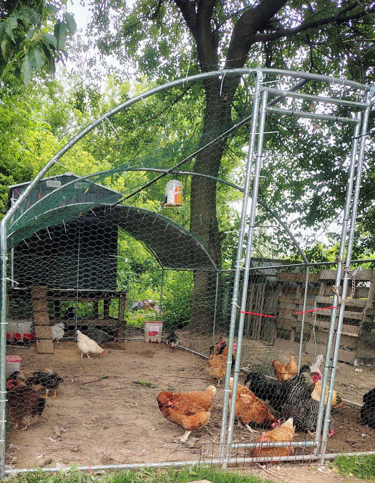 Large Metal Chicken Coop with Run, Walk-in Poultry Cage with Dome Roof for Backyard, Galvanized Heavy-Duty Frame for Ducks & Rabbits customer photo 2