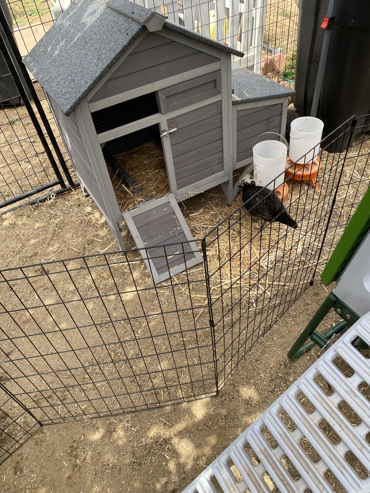 Aivituvin Extra Large Chicken Coop for 8-10 Chickens, Reinforced Outdoor Wooden Hen House with Run, 6 Nesting Boxes, Easy Clean Pull-Out Tray, Waterproof Asphalt Roof customer photo 1