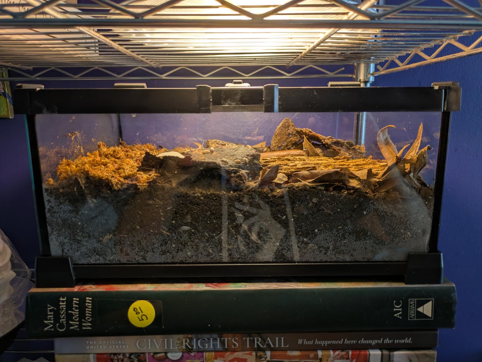 15 Gallon Fully Assembled Glass Reptile Enclosure, 20