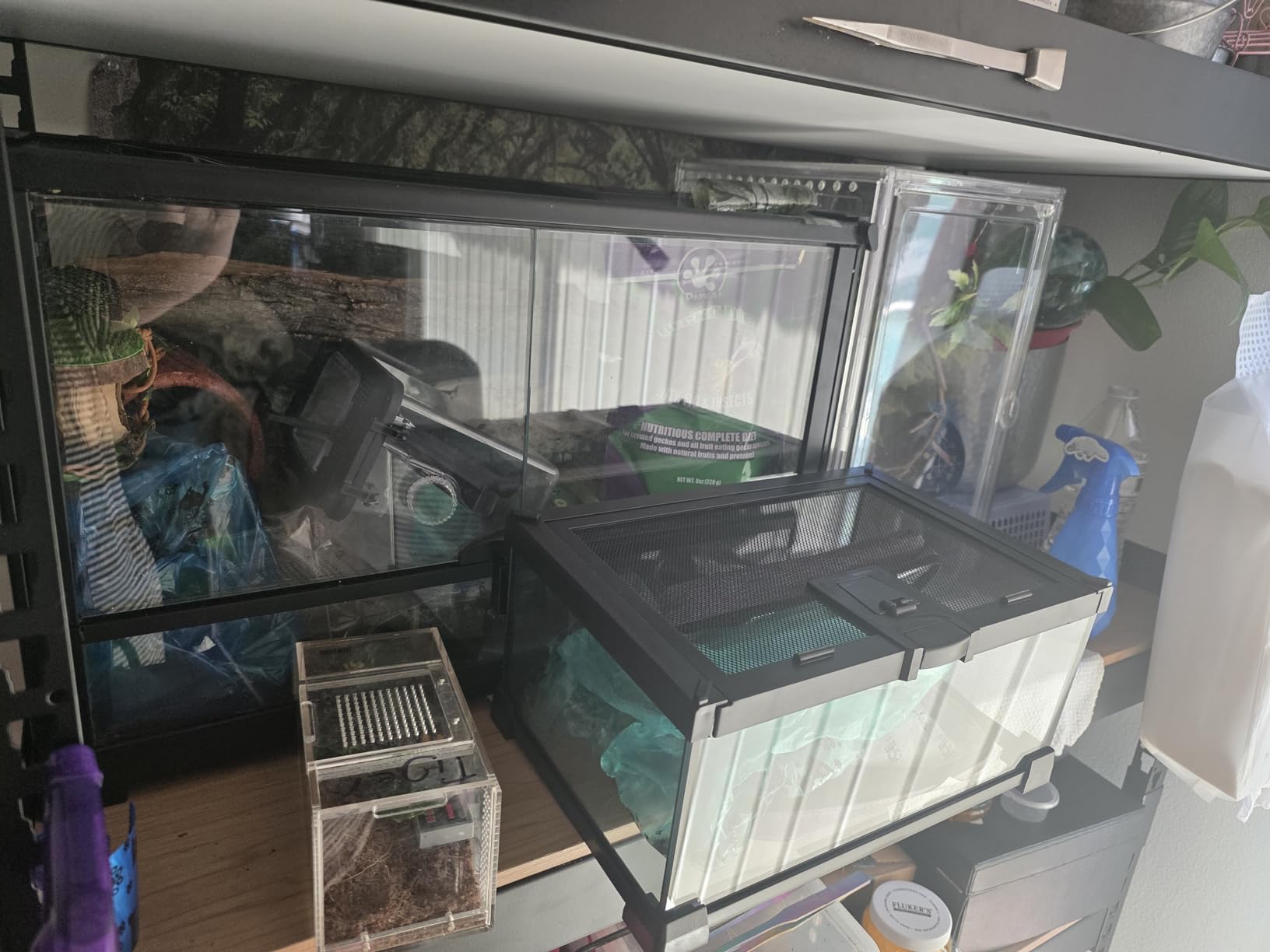 2.5 Gallon Fully Assembled Glass Reptile Enclosure, 12