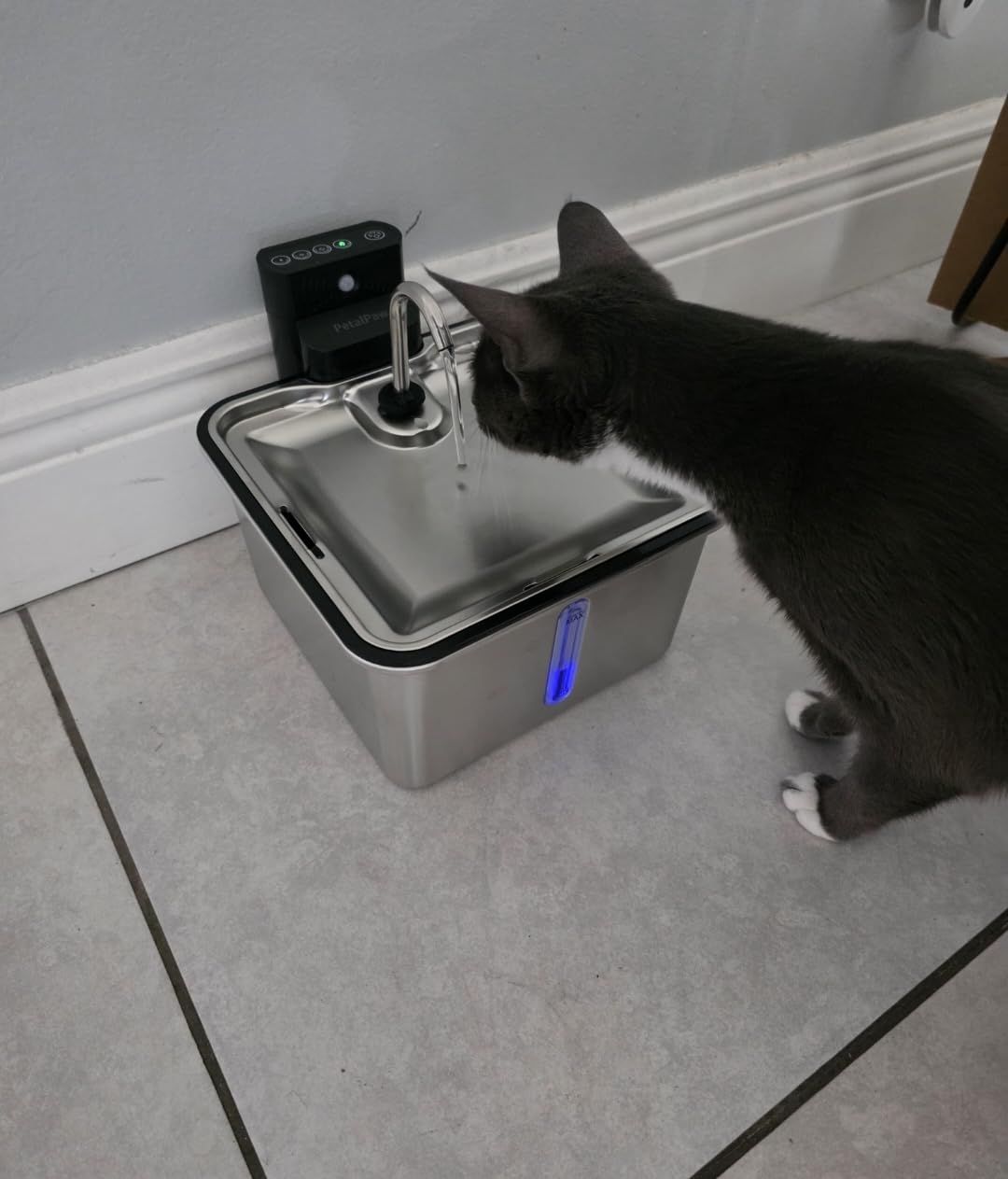 Wireless Cat Water Fountain, Water & Battery Separation, Faucet Design | PETALPAW Cat Fountain Stainless Steel, 4000mAh, 3.5L Cordless Pet Water Dispenser for Indoor Cats & Small Dogs, Silver customer photo 1