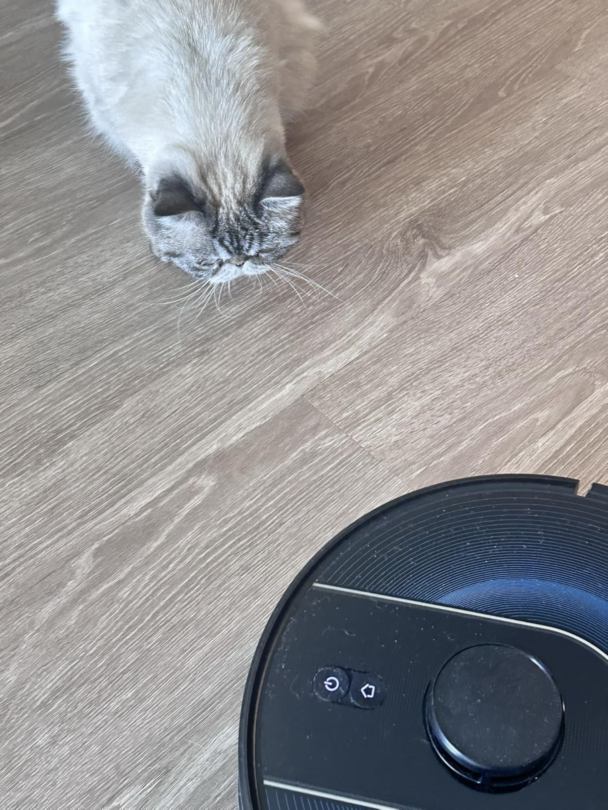 Bagotte Robot Vacuum and Mop Combo with LiDAR Navigation, Self-Emptying Robotic Vacuums Cleaner with 6000Pa Super Power, Mapping, 90 Days Hands-Free, Fast Home Mapping for Pet Hair, Hard Floors customer photo 2
