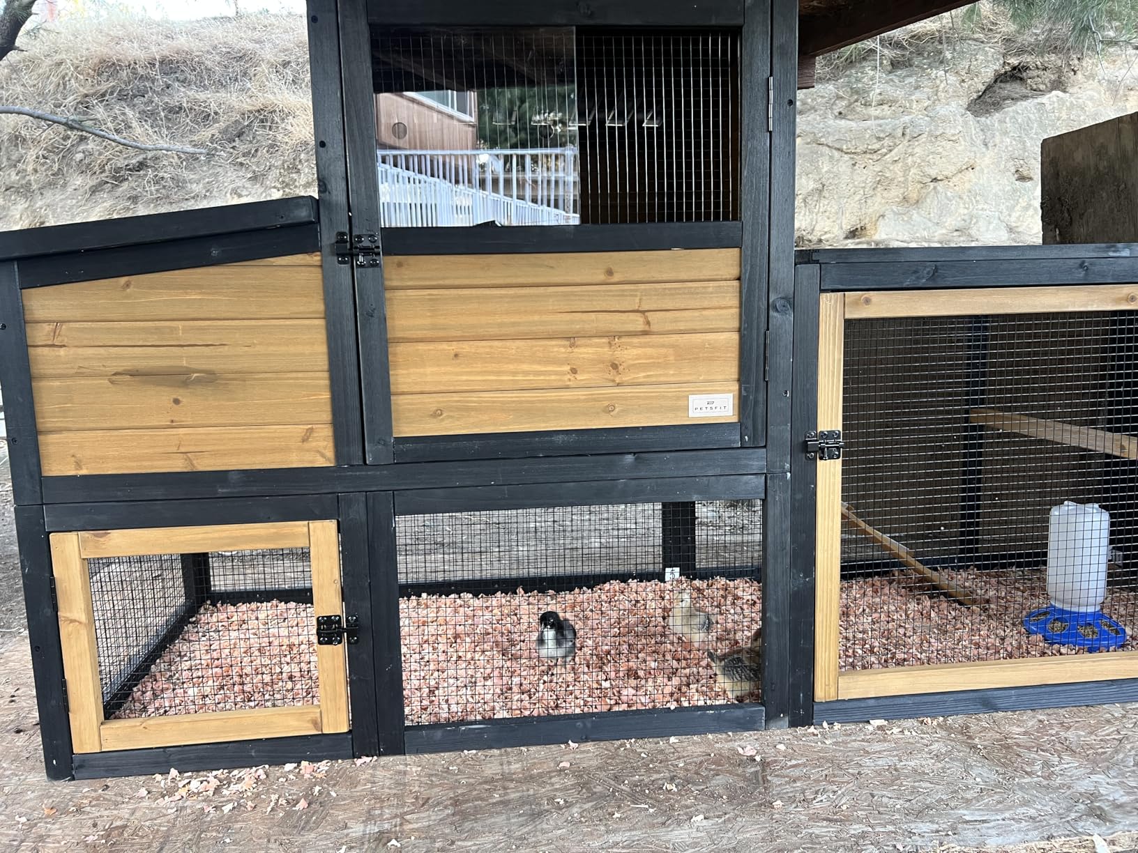 Petsfit Outdoor Chicken Coop with Run for 4-6 Chickens, 3 Nesting Boxes | 71 x 42 x 45 in; predator-resistant ground anchors, 3-door cleaning access, washable floor, 3 perches and chicken swing customer photo 1