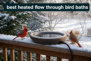 best heated flow through bird baths