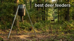 best deer feeders