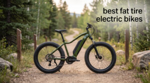 best fat tire electric bikes