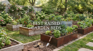 best raised garden beds