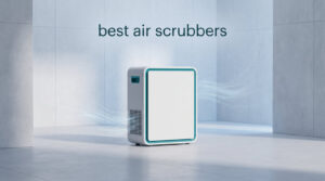 best air scrubbers