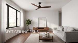 best ceiling fans
