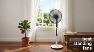best standing fans