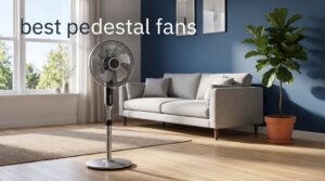 best pedestal fans