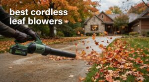 best cordless leaf blowers
