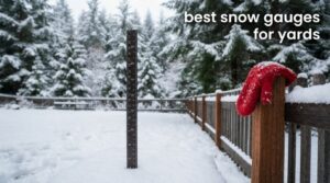 best snow gauges for yards