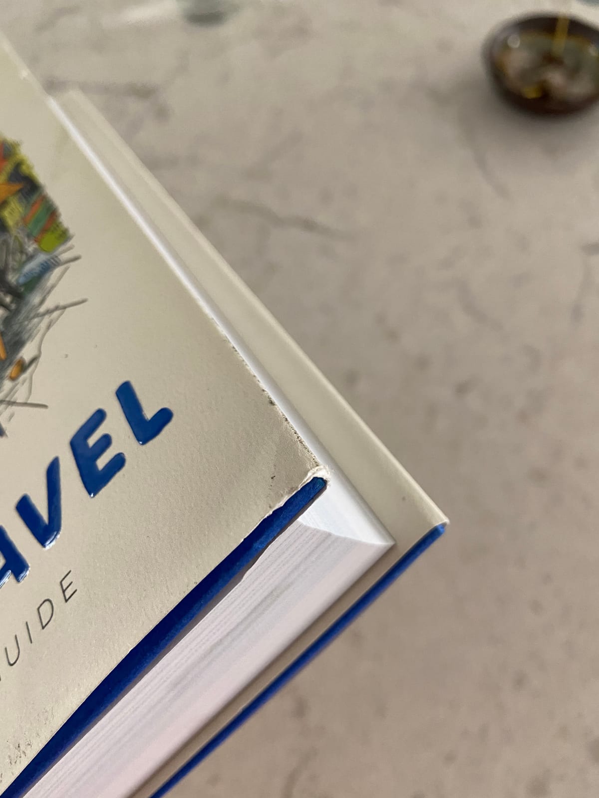 World Travel: An Irreverent Guide customer photo 1