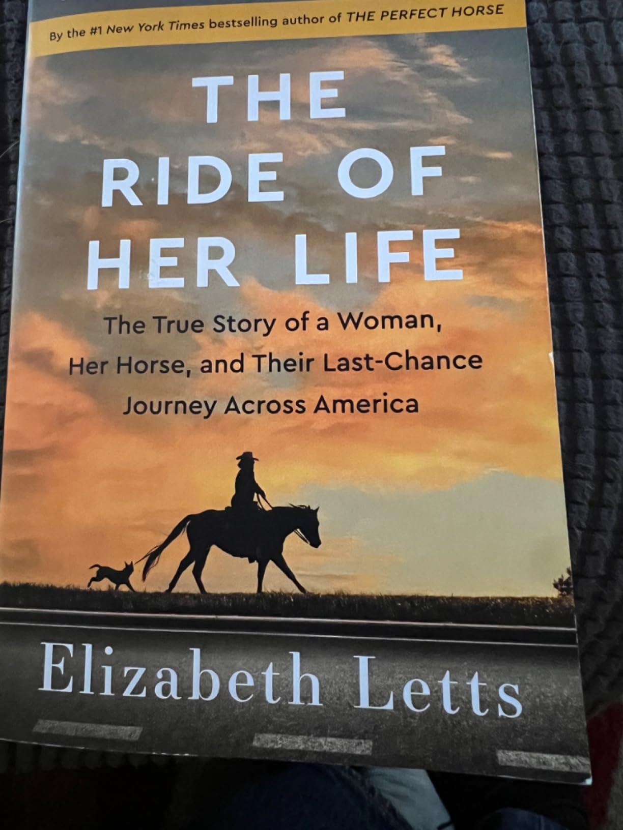 The Ride of Her Life: The True Story of a Woman, Her Horse, and Their Last-Chance Journey Across America customer photo 1