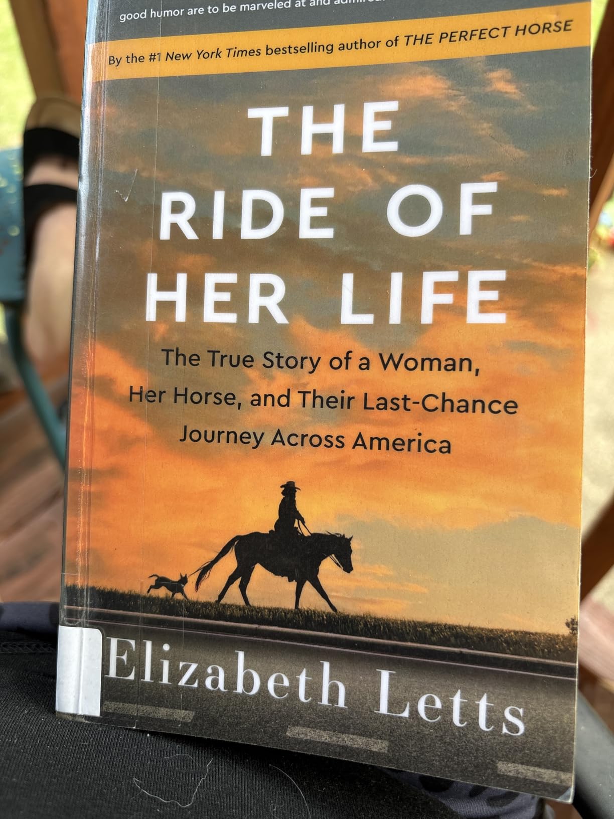 The Ride of Her Life: The True Story of a Woman, Her Horse, and Their Last-Chance Journey Across America customer photo 2
