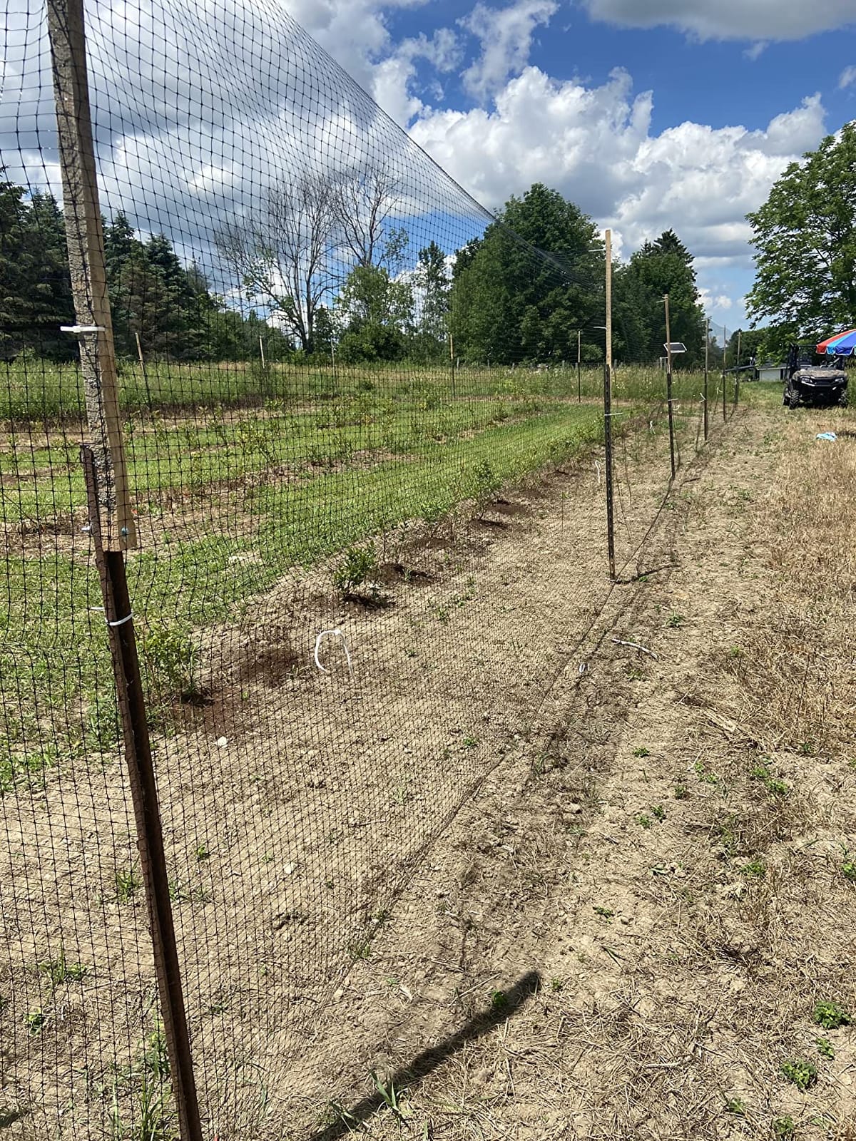 Jobes Jobe’s LG400171 Deer Barrier Fencing, 7 ft x 100 ft, Black customer photo 2