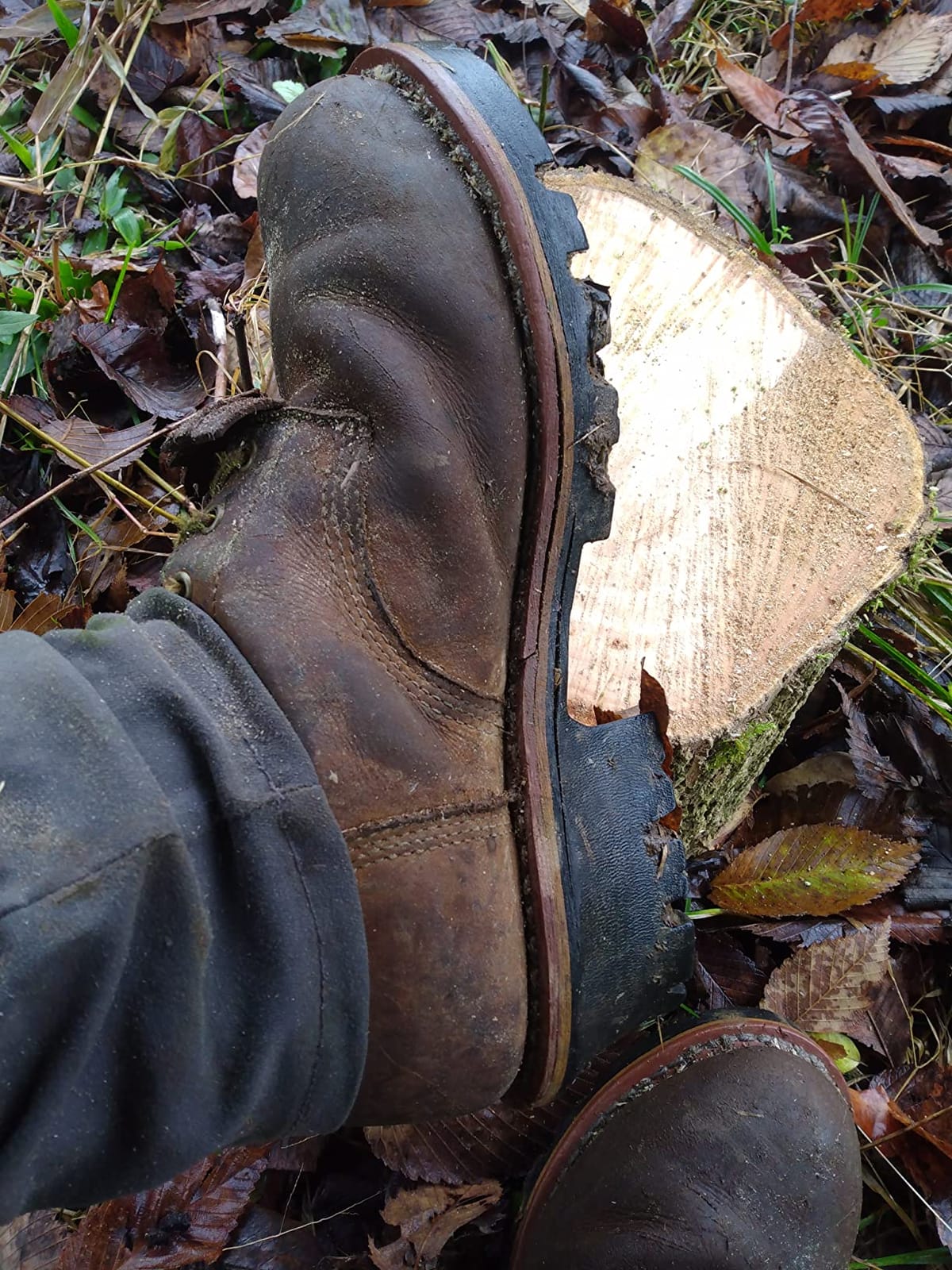 Georgia Boot Steel Toe GORE-TEX Waterproof 400G Insulated Logger Boot customer photo 1