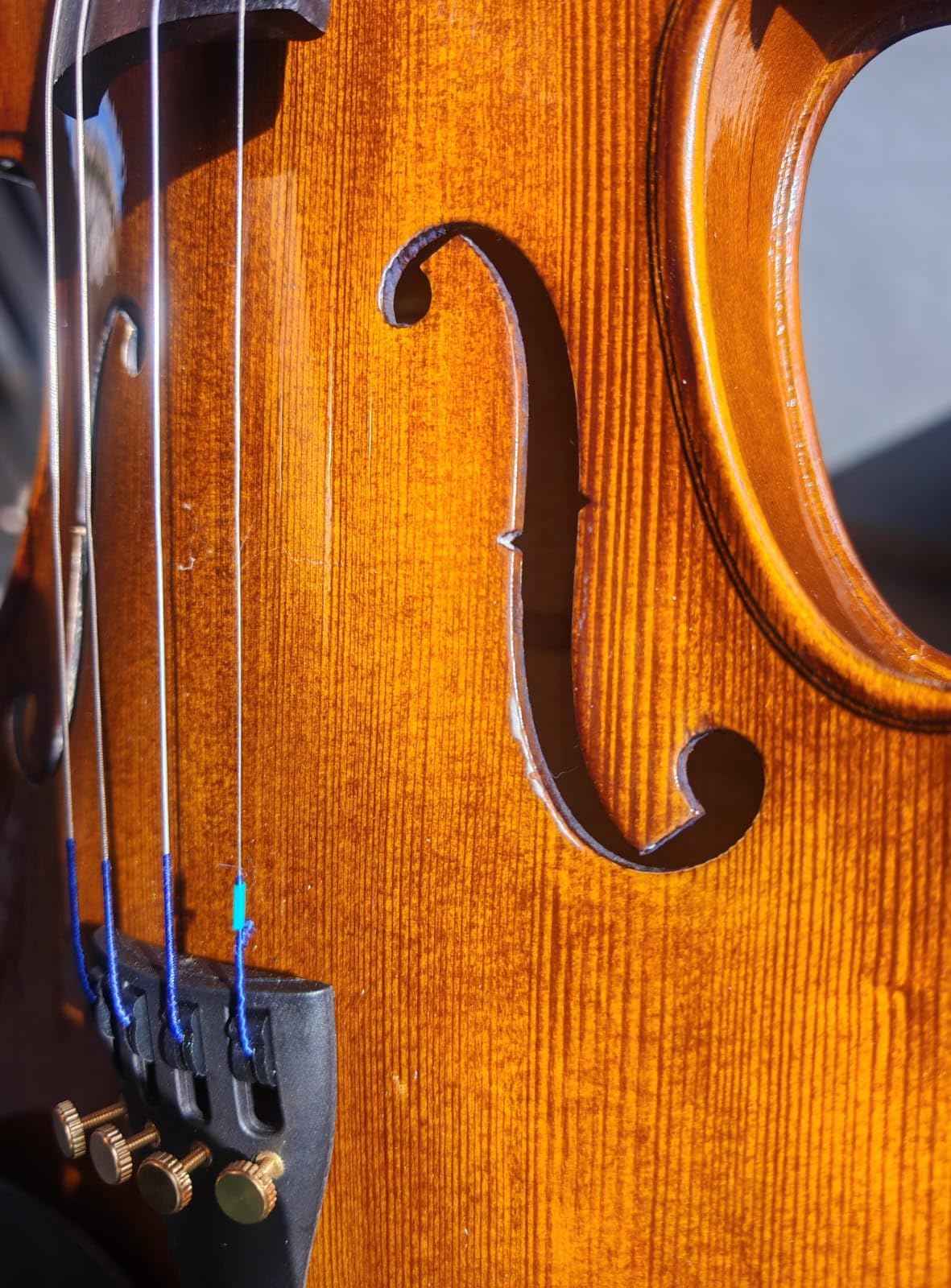 Cremona SV-175 4/4 Premier Student Violin Outfit - Solid Spruce Top, Maple Back, Ebony Fittings, Prelude Strings, Case & Bow for Beginner & Advancing Students customer photo 1