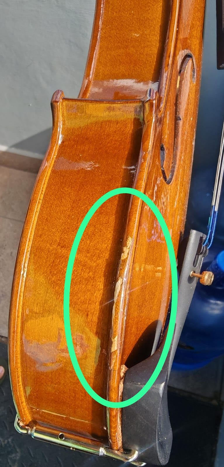 Cremona SV-175 4/4 Premier Student Violin Outfit - Solid Spruce Top, Maple Back, Ebony Fittings, Prelude Strings, Case & Bow for Beginner & Advancing Students customer photo 2