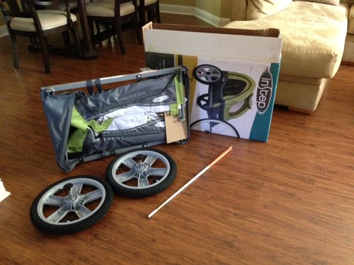 Instep Sync Single Seat Bike Child Trailer, Max Weight 40 lbs., 5-Point Harness, Folding Frame, Quick Release Wheels, Easy Storage, Bug Screen & Weather Shield, Green/Grey customer photo 1