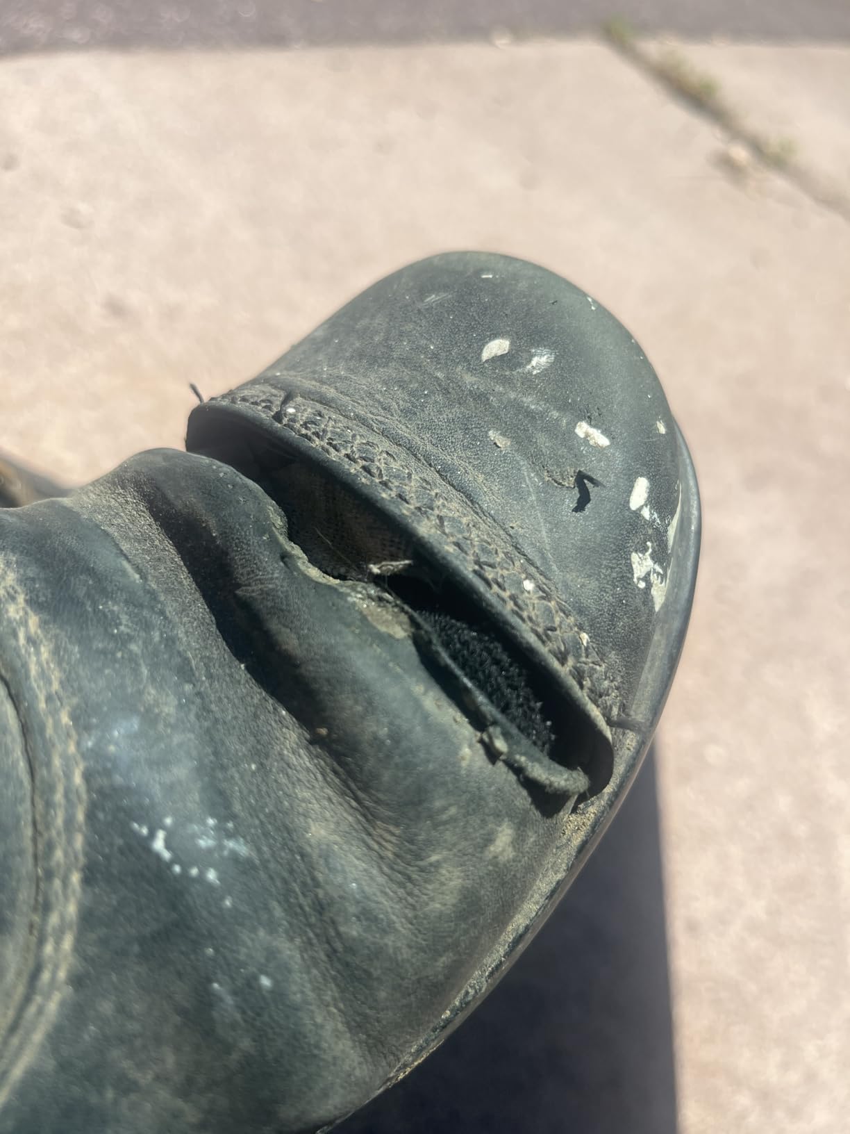 ARIAT Women's Heritage Rt Zip Paddock Boot customer photo 1
