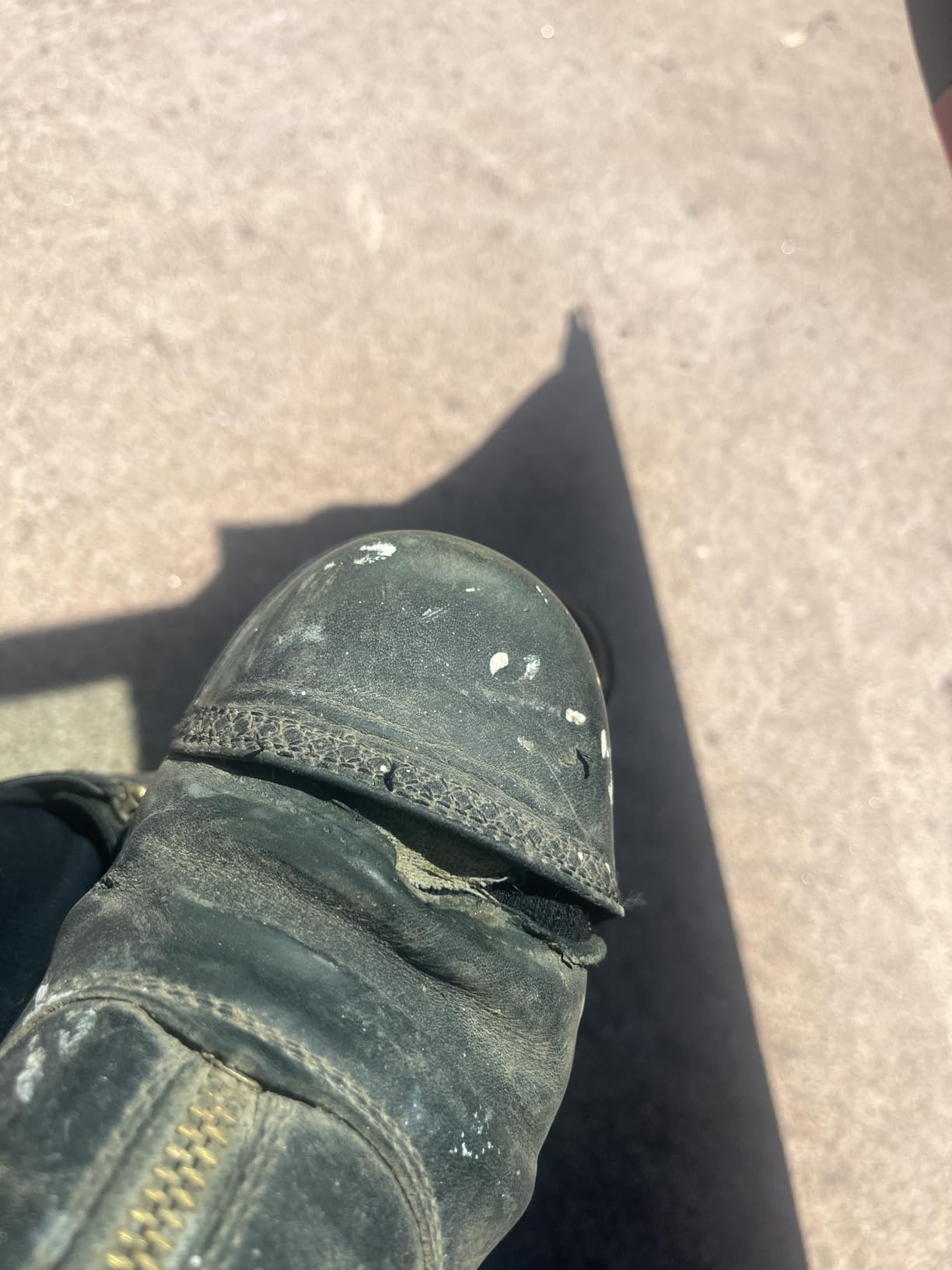 ARIAT Women's Heritage Rt Zip Paddock Boot customer photo 2