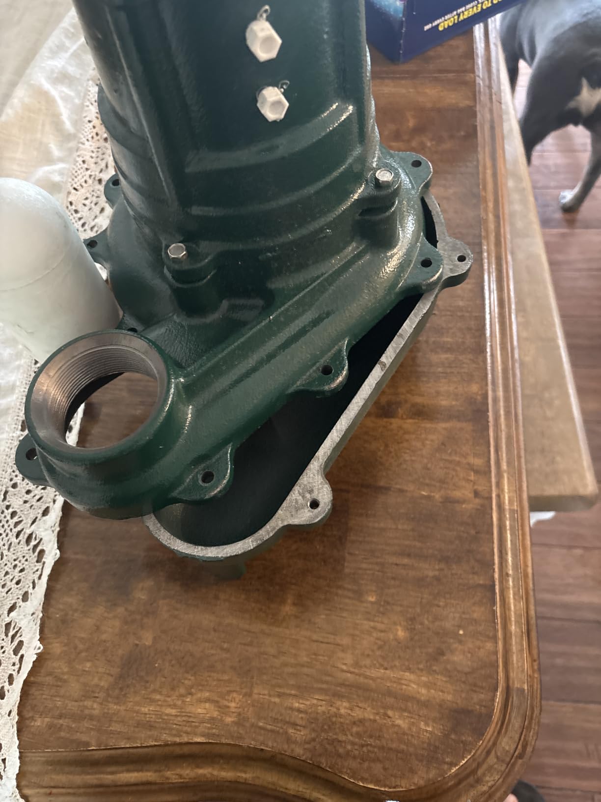 Zoeller Waste-Mate 267-0001 Sewage Pump, 1/2 HP Automatic - Heavy-Duty Submersible Sewage, Effluent or Dewatering Pump customer photo 2