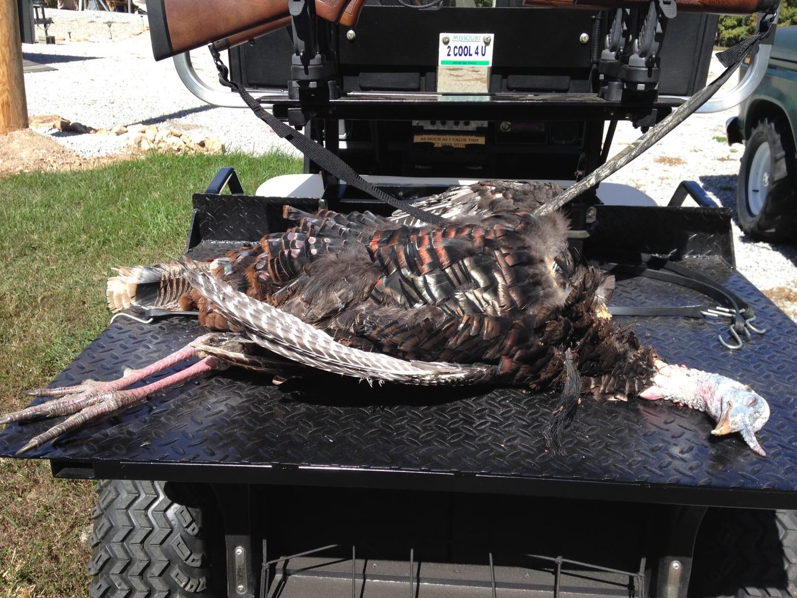 ATV Tek VFG2 V-Grip ATV Bow and Gun Rack. Double Rider Fork Mount, SmartBlock Universal Fit 0.5-1.25in Racks, Shock and Vibration Damping, Tool-Free Adjust, Secure ATV Transport Accessory. customer photo 1