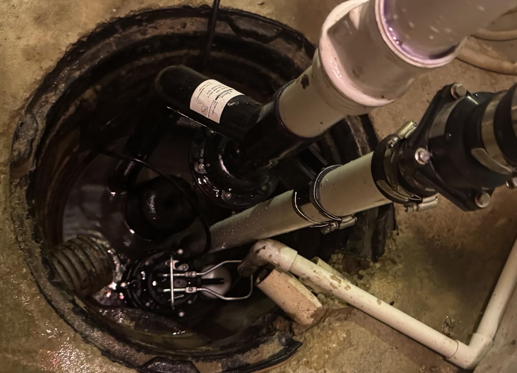 WAYNE CDU980E 3/4 HP Submersible Sump Pump - Cast Iron & Stainless Steel, Vertical Float Switch, 5,490 GPH, 5-Year Warranty customer photo 2