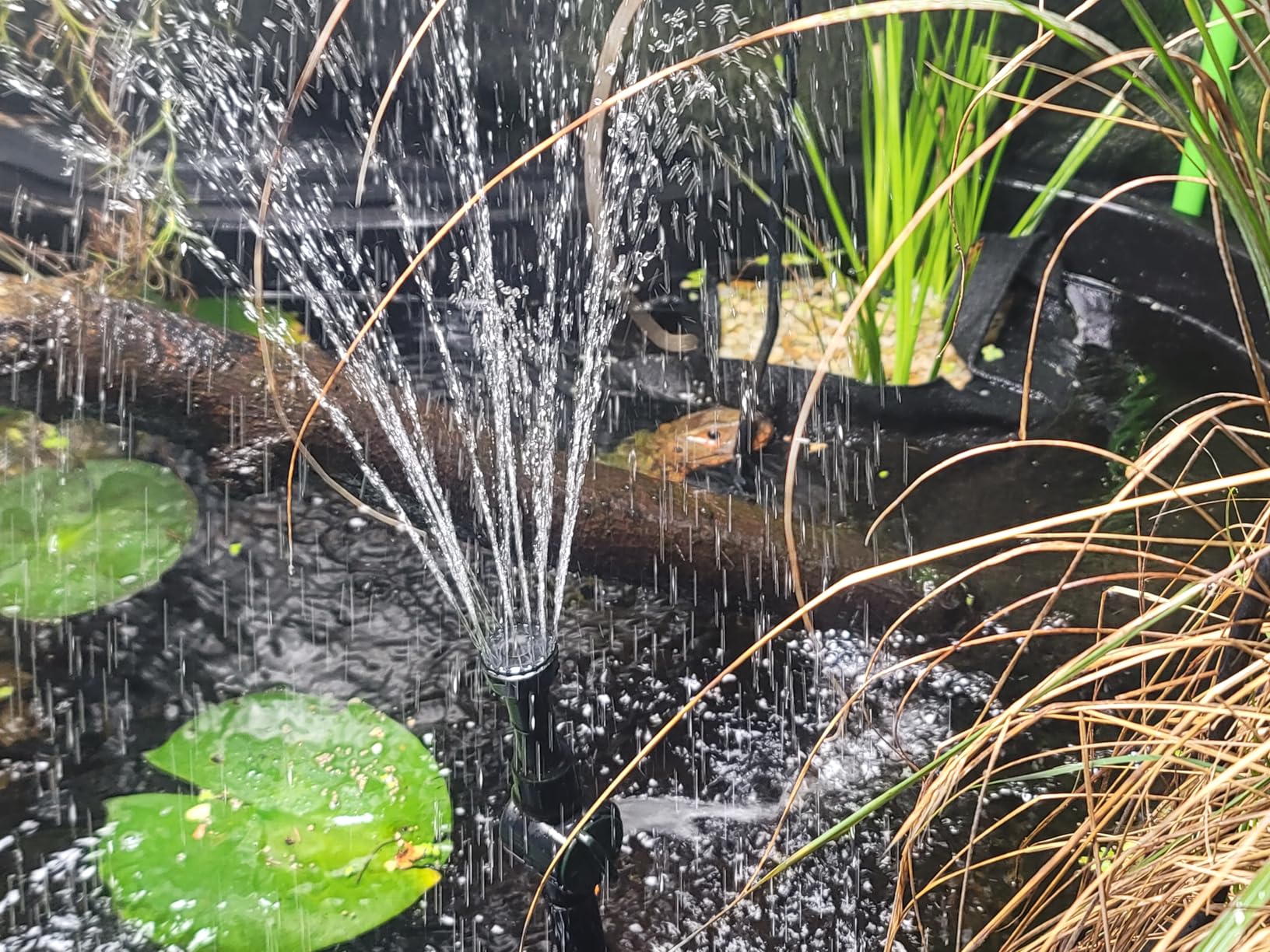 pond boss Medium Filter Kit with Pump for Ponds and Water Features customer photo 2