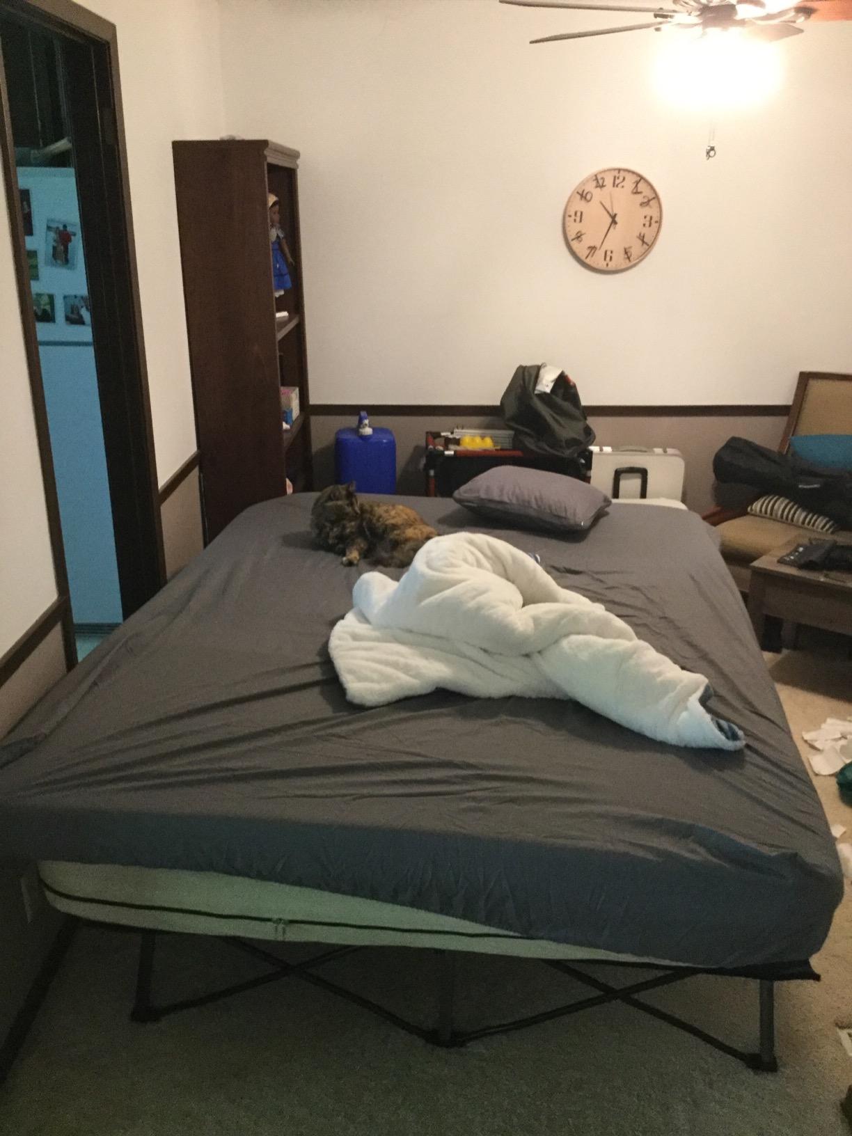 Coleman Queen-Size Airbed Cot Combination, Folding Air Mattress with Steel Frame & Side Table, Battery Pump Included, Great for Camping customer photo 1