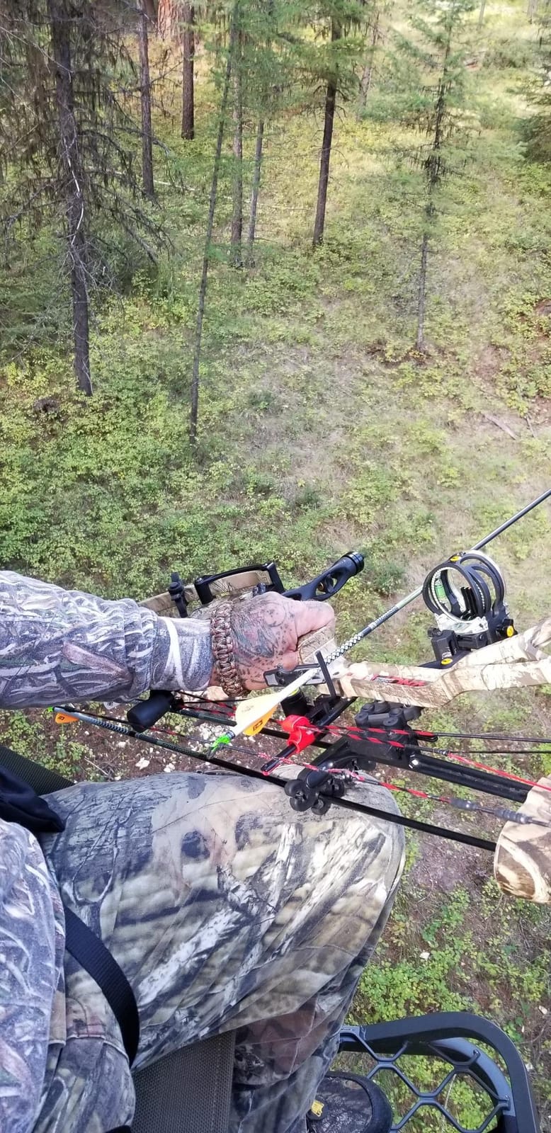 Millennium Treestands Monster Hang-on Treestand customer photo 1