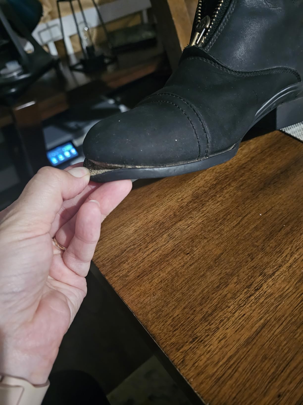 ARIAT Scout Zip Paddock customer photo 2