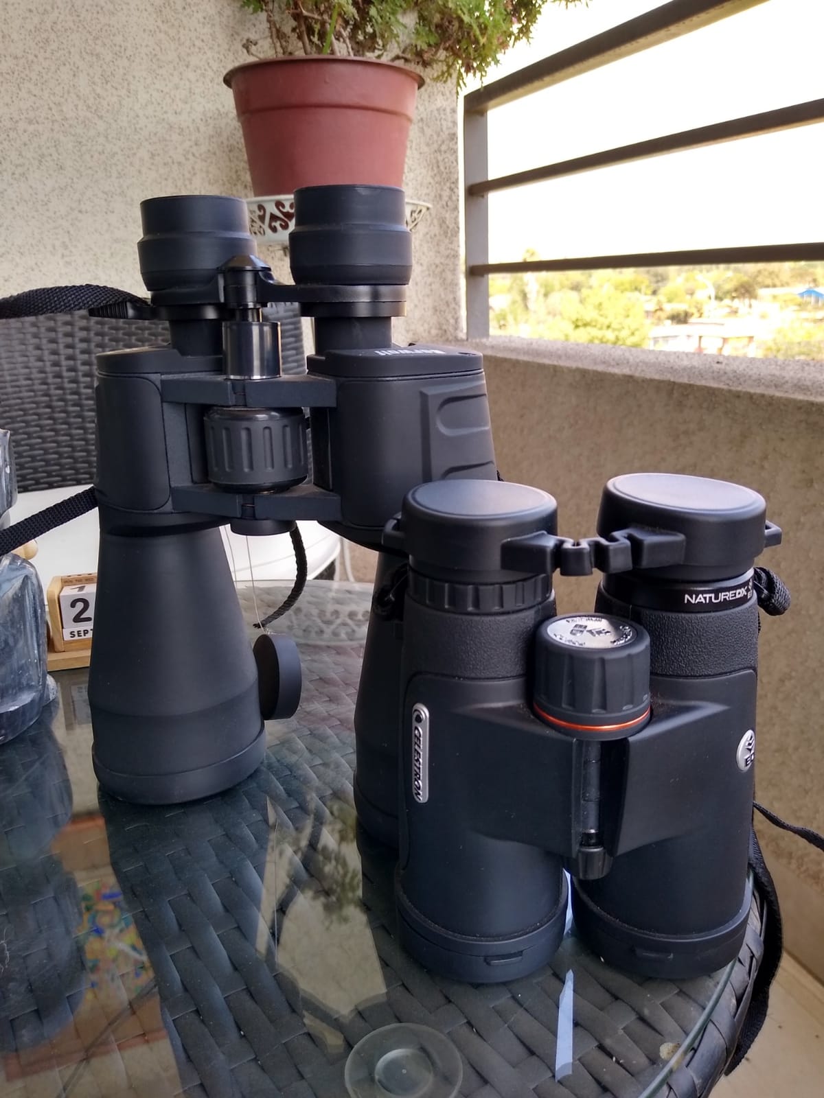 Celestron Nature DX ED 8x42 Premium Waterproof Birding Binoculars - ED Glass for True-to-Life Color, Fully Multi-Coated Optics & Phase Coated BaK-4 Prism, Sharp Edge-to-Edge Views, Waterproof customer photo 1