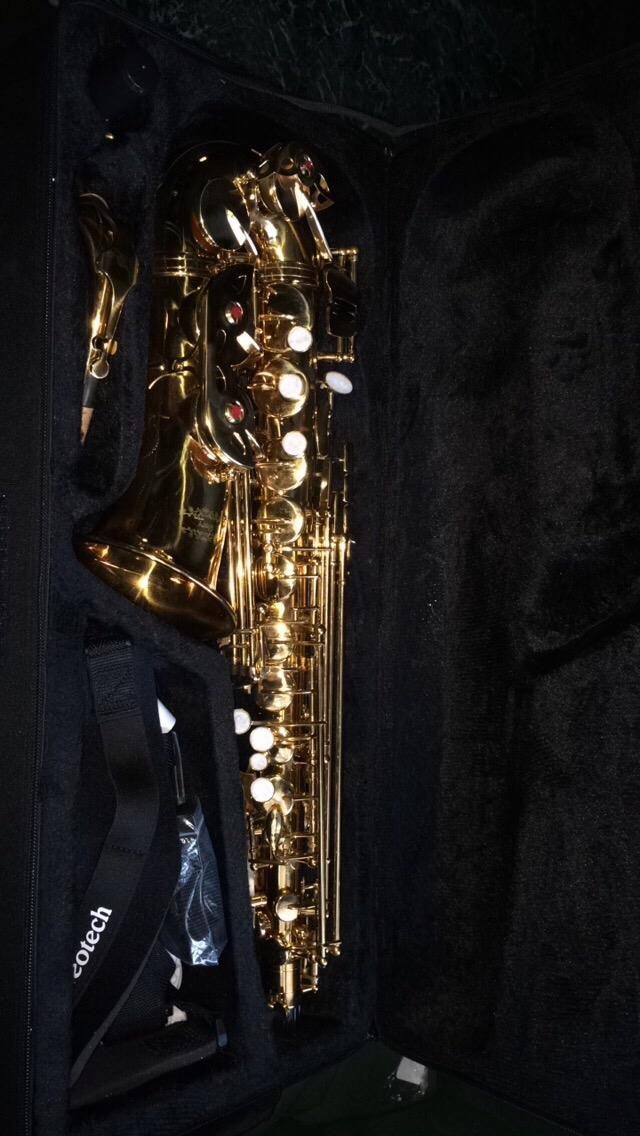 Glory Gold Laquer E Flat Alto Saxophone with 11reeds,8 Pads cushions,case,carekit customer photo 2