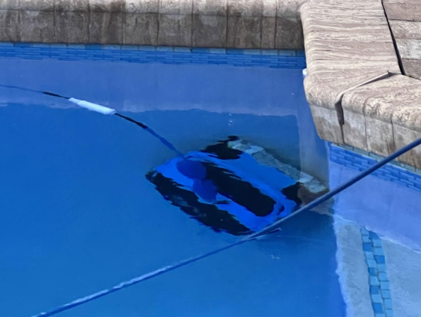 Dolphin Automatic Robotic Pool Vacuum Cleaner, Wall Climbing Scrubber Brush, Smart Navigation, Ideal for In-Ground Pools up to 50 FT in Length - Nautilus CC Plus customer photo 2