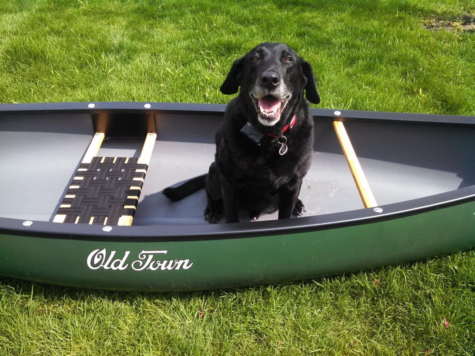 Old Town Discovery 119 Recreational Canoe, Solo, 11 ft 9 in customer photo 1