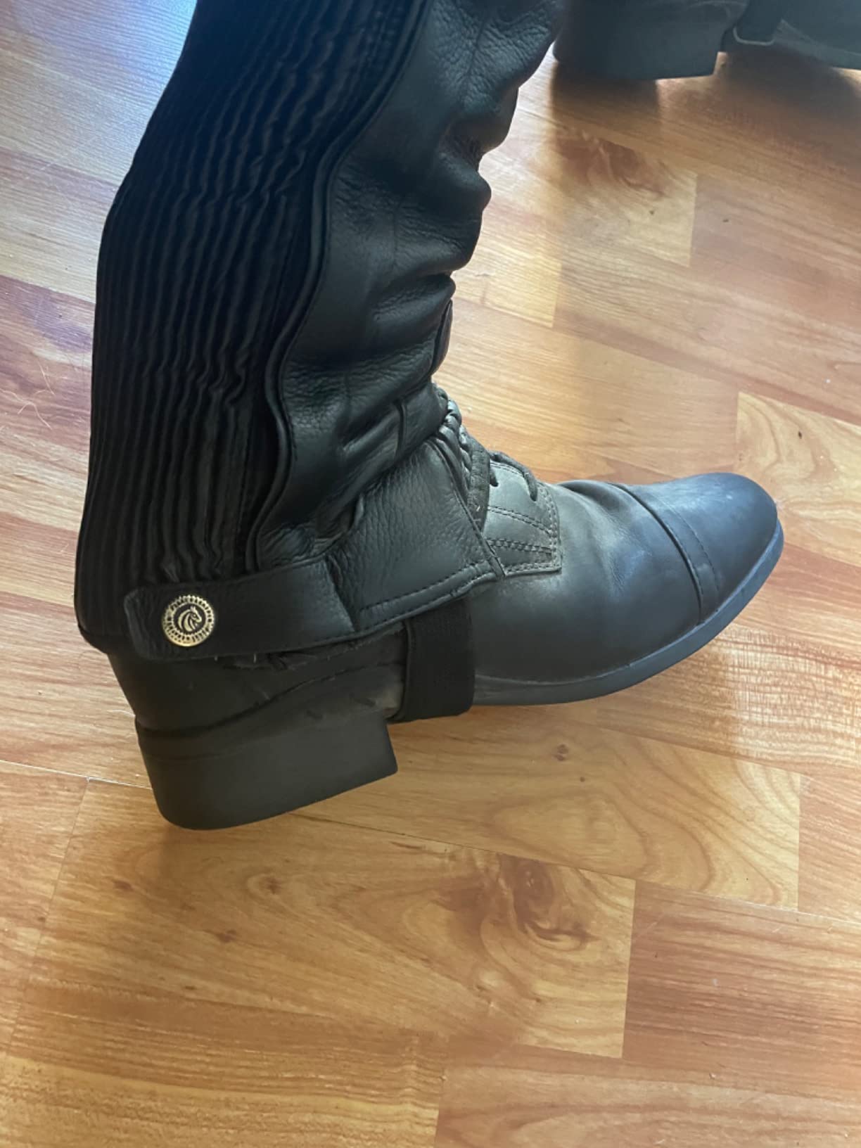 ARIAT Scout Paddock customer photo 1