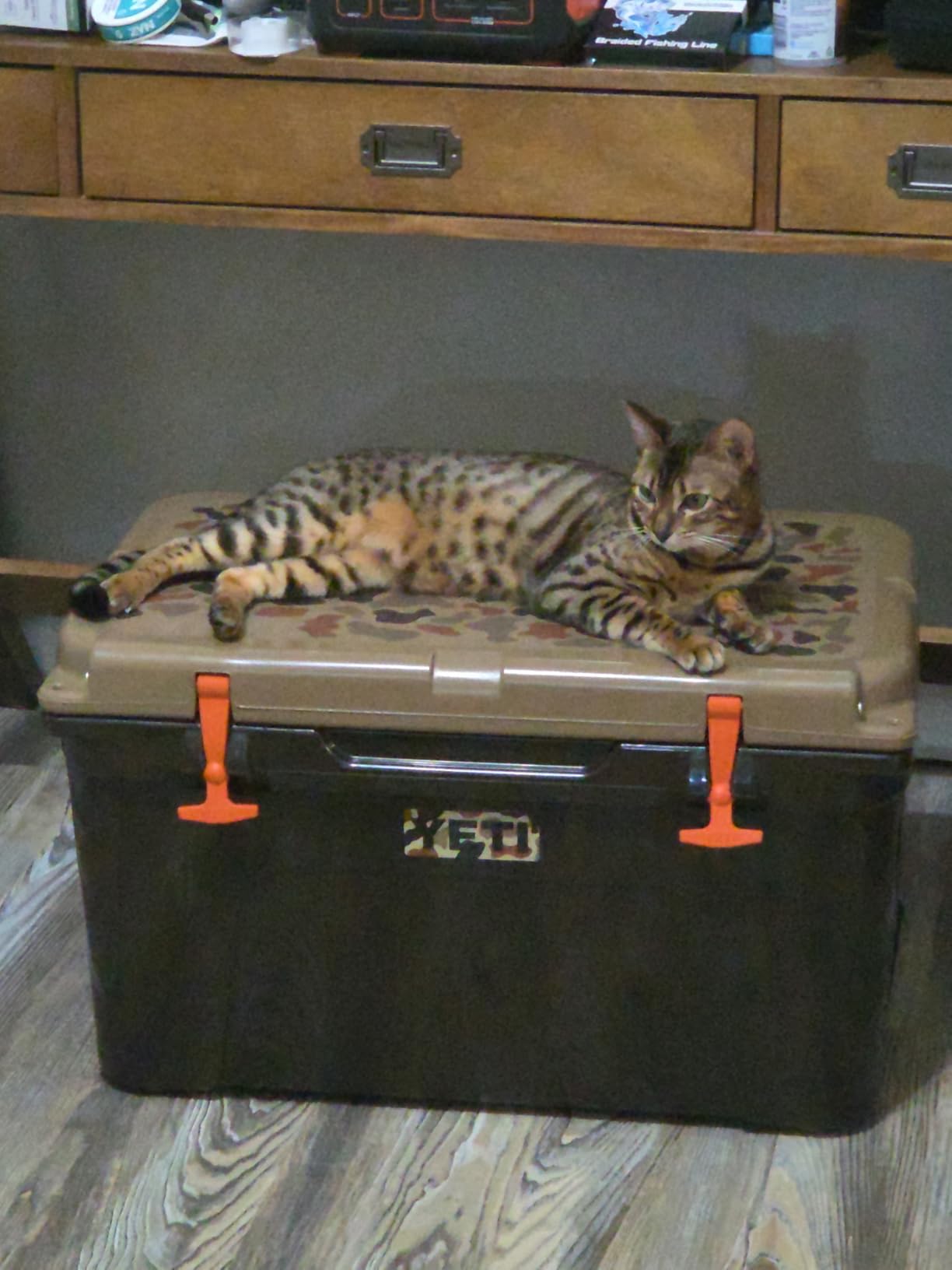 YETI Tundra 45 Cooler customer photo 1