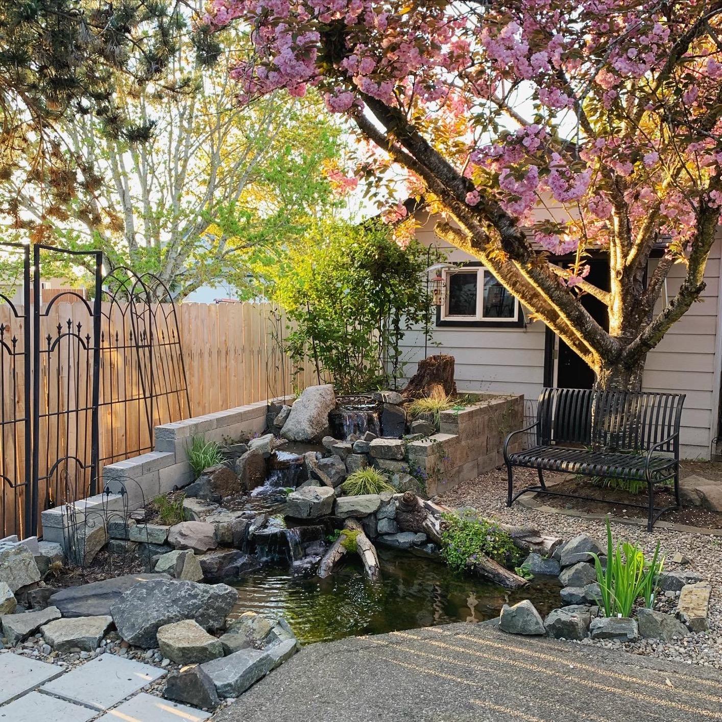 Aquascape Complete Pond Kit 8 feet x 11 feet | AquaSurge 3000 Pump customer photo 2