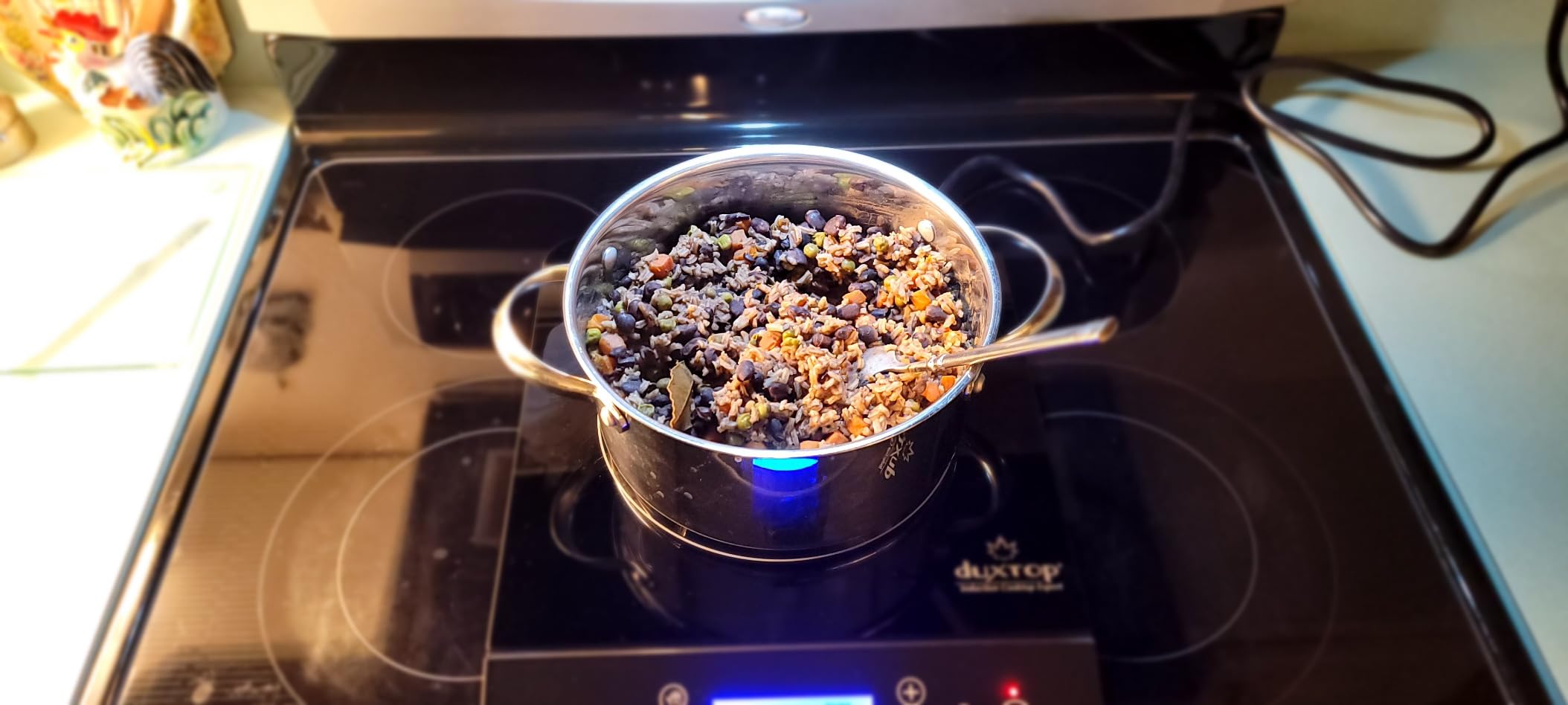 Duxtop Portable Induction Cooktop, Countertop Burner 1800W Silver 9600LS customer photo 2