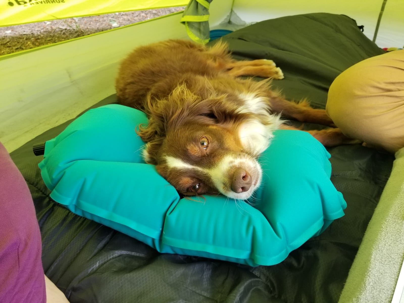 Klymit Pillow X Travel Pillow, Lightweight Inflatable Hybrid Airplane, Backpacking, Hammock, and Camping Pillow customer photo 1