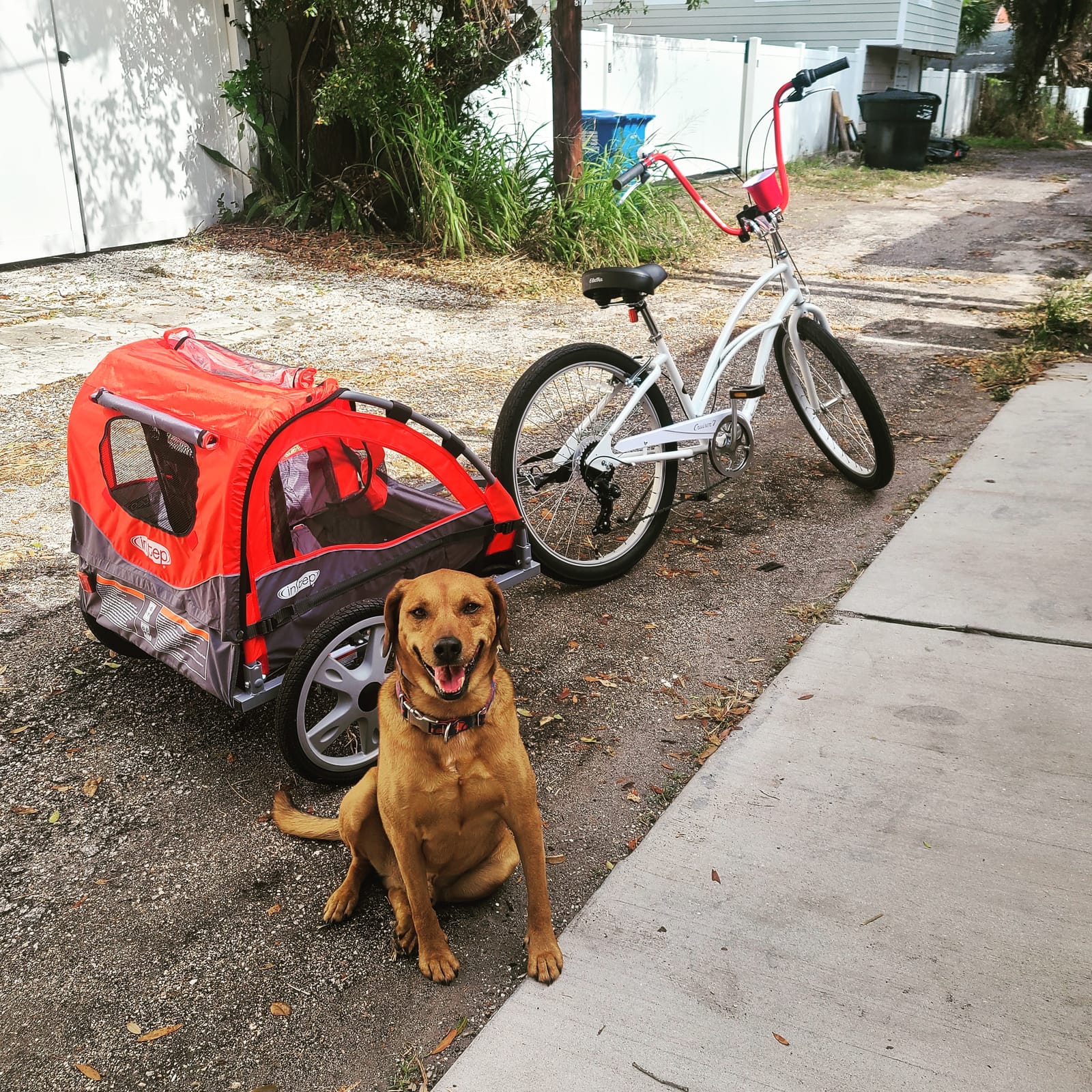Instep Take 2 Double Seat Bike Child Trailer, Max Weight 80 lbs., 5-Point Harness, Folding Frame, Quick Release Wheels, Bug Screen & Weather Shield, Red customer photo 2