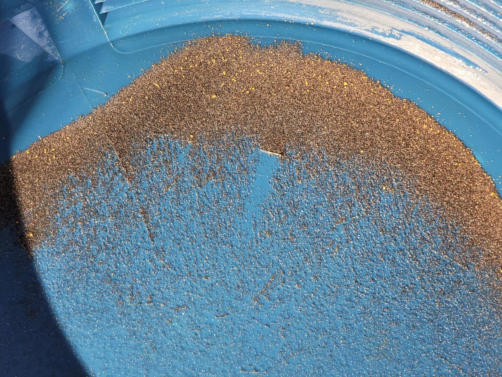 PRO-Gold Panning Kit - 2 Gold Pans, 1 Classifier, 1 Convertible Carry Bag & More customer photo 1