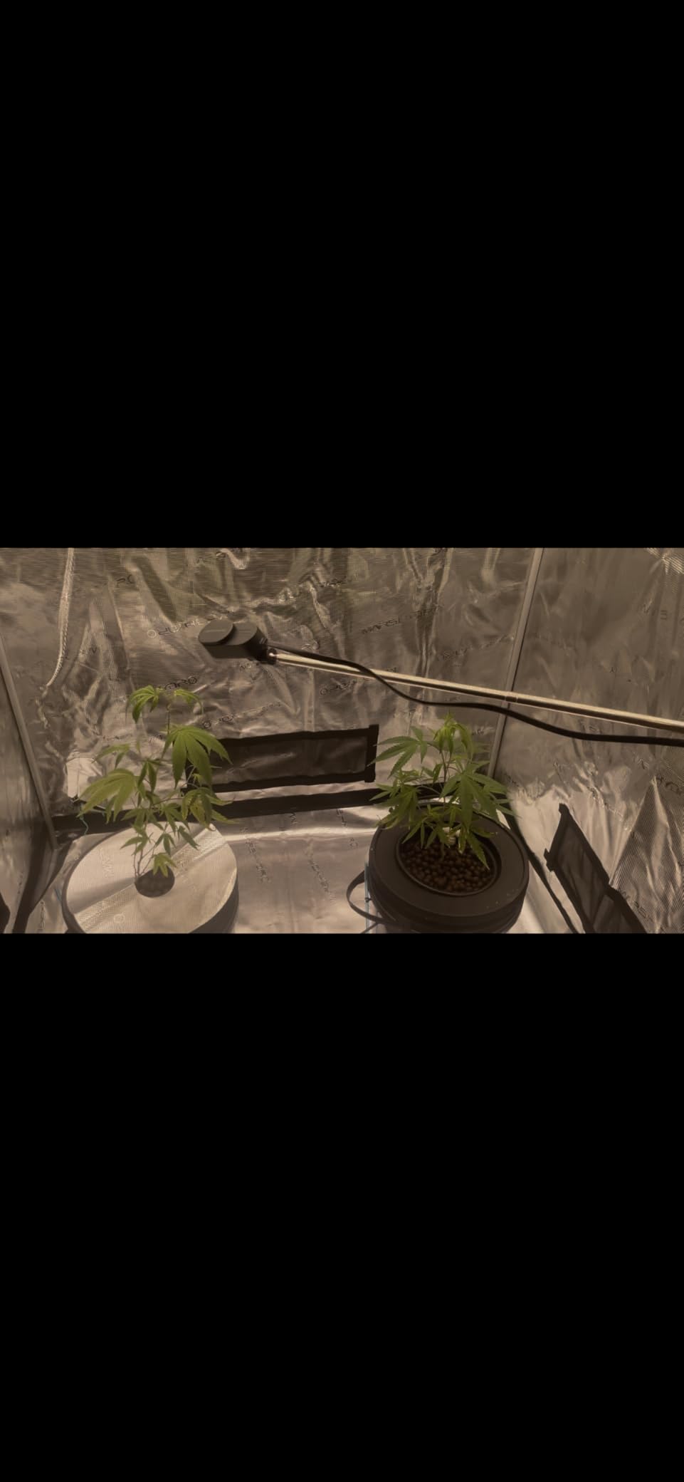 MARS HYDRO 5x5 Advanced Grow Tent, 60