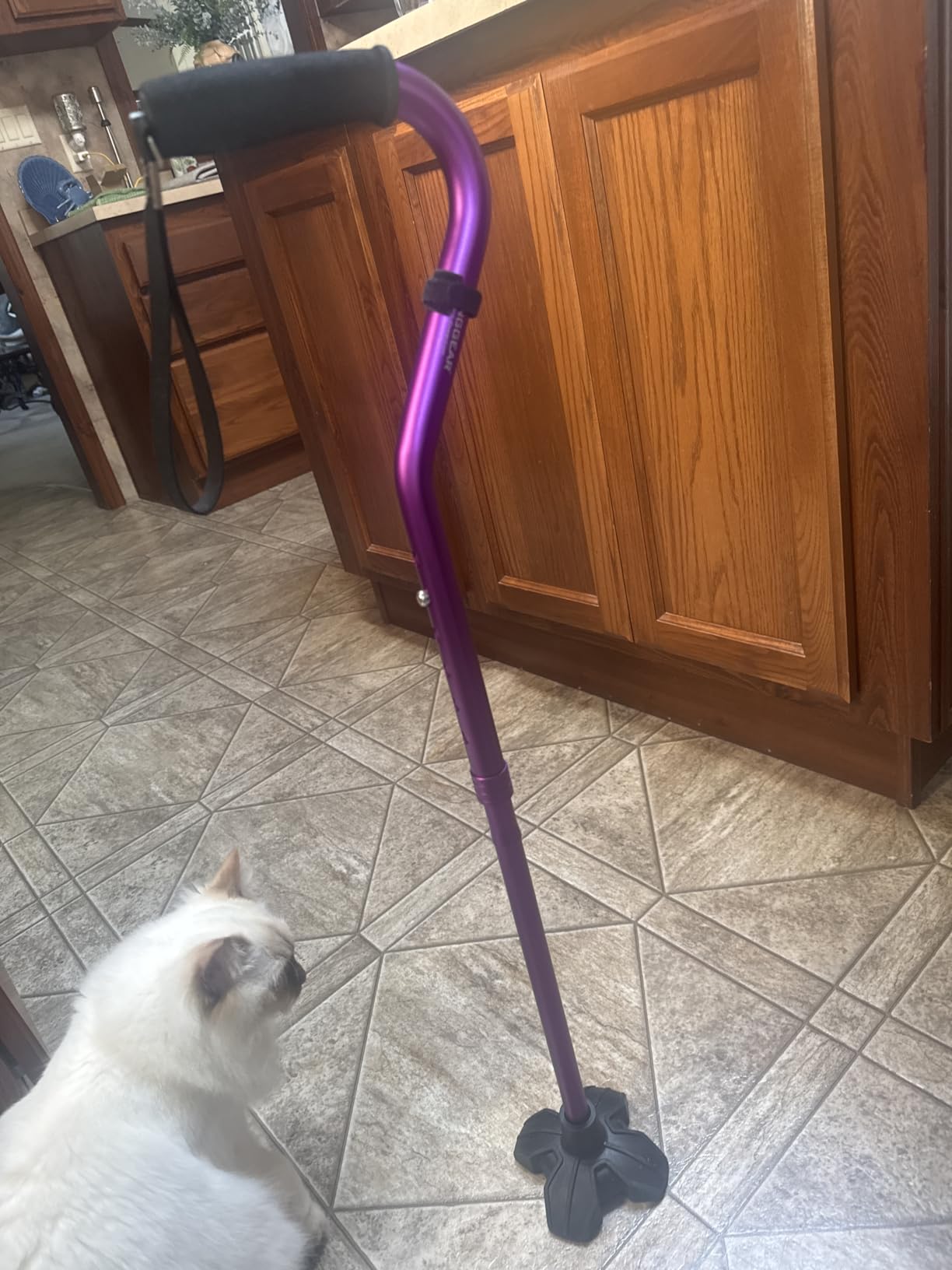 Self Standing Walking Cane Quad Base for Seniors - Lightweight aluminum, foldable design, 31-36 in adjustable height, EVA offset handle, self-standing quad base customer photo 1