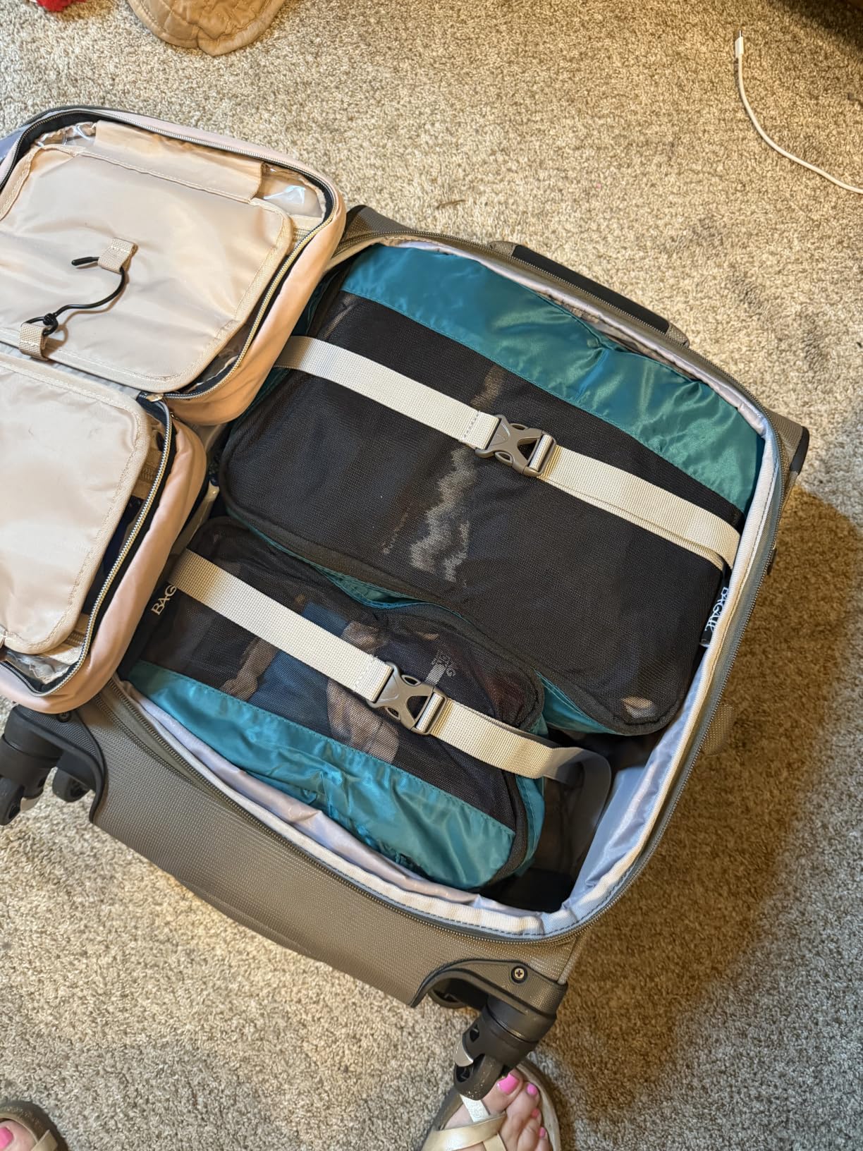 Travelpro Maxlite 5 Softside Checked Luggage Spinner, Green, 29-Inch customer photo 1